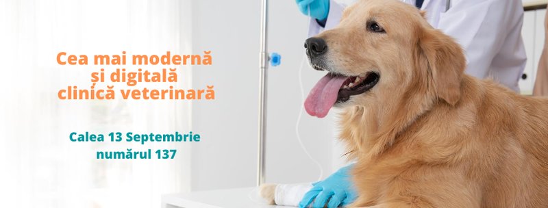 The Vets - Clinici Veterinare